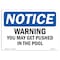 Signmission OSHA Notice Sign, 7" Height, Rigid Plastic, Warning You May Get Pushed In The Pool Sign, Landscape OS-NS-P-710-L-18933 - alternate 1